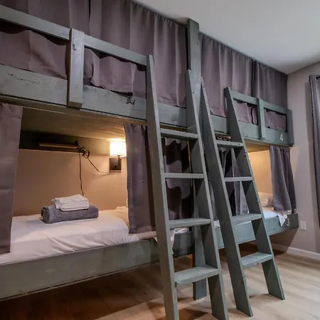 The Lazy Tiger Hostel-3
